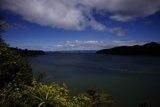 Enchanting Bay View from Tiburon Hillside