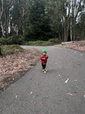 Skateboarding Through the Presidio