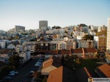 View of San Francisco Skyline from atop a Hill