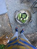 Grilling Fresh Vegetables on the Patio