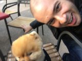 Jiff On Chair