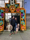 Colorful Flower Arch