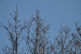 Winter's Embrace