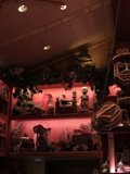Tiki Room turned Tiki Bar