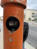 Parking Woes