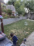 Bubbles of Summer