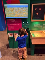 Young Boy Explores Interactive Museum Exhibit with Headphones