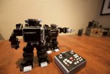 The Wooden Robot