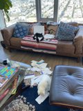 Cozy Living Room with Furry Friends