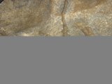Incredibly Textured Rock with a Hole
