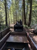 Journey Through the Redwood Grove