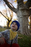 Sonoma Sunshine: Wesley's Adventures Outdoors