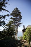 The Majestic Evergreen and The Cozy House