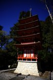 Serenity at the Japanese Tea Garden