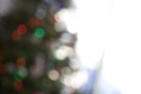 Festive Fir Illuminated at Christmas