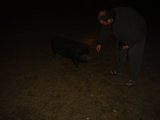Nighttime Friend