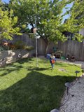 Springtime Adventures in the Backyard
