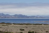 Coastal Serenity in Cayucos
