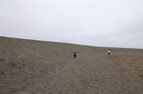 Children Exploring a Vast Dark Sand Beach