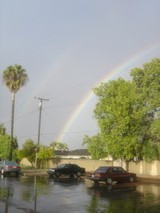 The Rainbow Over a Suburban Oasis