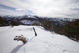 Winter's Embrace