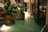 Serene Oasis