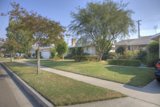Suburban Bliss