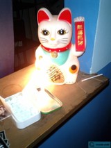 Maneki Neko on the Table