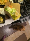 Fido's Lunch Date