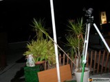 Nighttime Plant and Tripod on Porch