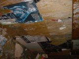 Artistic Chaos