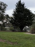 Solitude Amidst Nature
