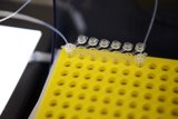Exploring the Microscopic World
