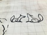 Foxes Meet on the Paper