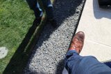 Brown Shoes in Nature