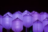 Illuminating the Night