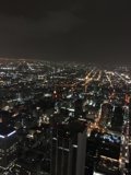 Night Skyline of Los Angeles from Above