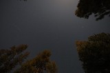 Meteor Streak Over Lassen Volcanic National Park Pines