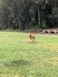 The Joy of Running Free
