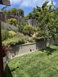 Tranquil Garden Escape