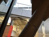 Through the Window: A Glimpse of Architectural Beauty