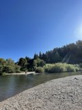 Sunlit Serenity: A River View