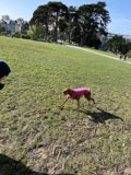 Running with My Best Friend
