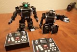Wooden Robot Duo