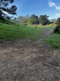 Along the Grassy Trail