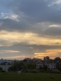Dog's Sunset Playtime in Alamo Square
