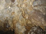 Hidden World of Arthropods