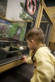 Child's Curiosity: Encounter with a Bird