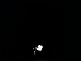 Illuminated in the Night Sky