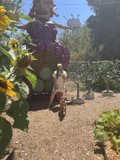 A Woman and Her Faithful Companion in a Lush Garden